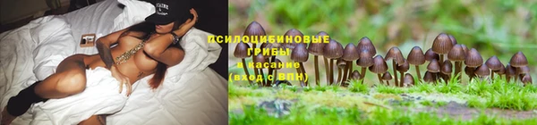 кокаин премиум Абаза