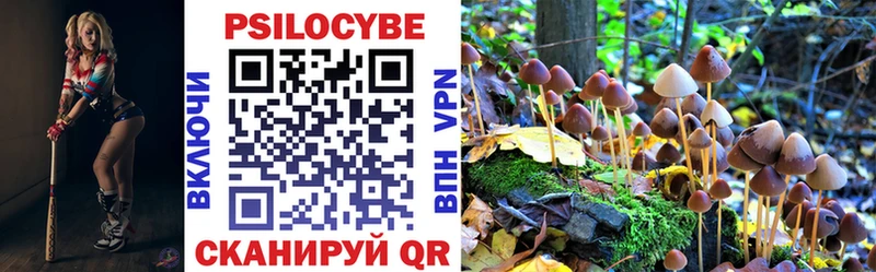 Галлюциногенные грибы прущие грибы  Райчихинск 